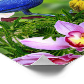 Vögel und Blume Schönes Vogelbild Poster (Ecke)