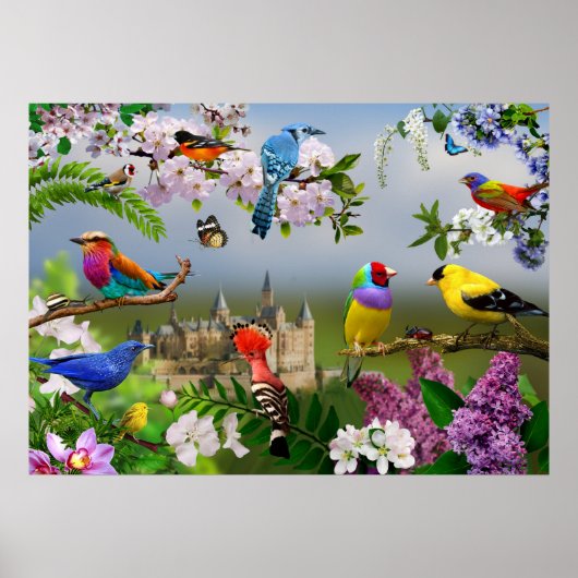 Vögel und Blume Schönes Vogelbild Poster (Vorne)