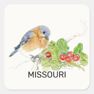 Vogel und Blume von Missouri Quadratischer Aufkleber