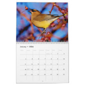 Vögel und Blüten 2016 - Kalender (Jan 2026)