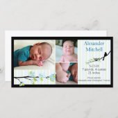 Vogel und Blüten in Blues Geburtserklärung Ankündigung (Vorne/Hinten)