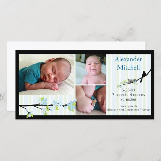 Vogel und Blüten in Blues Geburtserklärung Ankündigung (Vorne/Hinten)