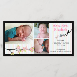 Vogel und Blüten in der rosa Ankündigung