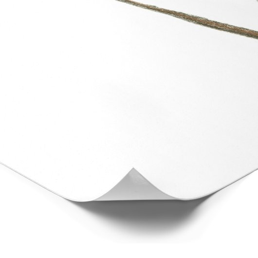 Vögel und Blüten (kleines Poster) Poster (Ecke)