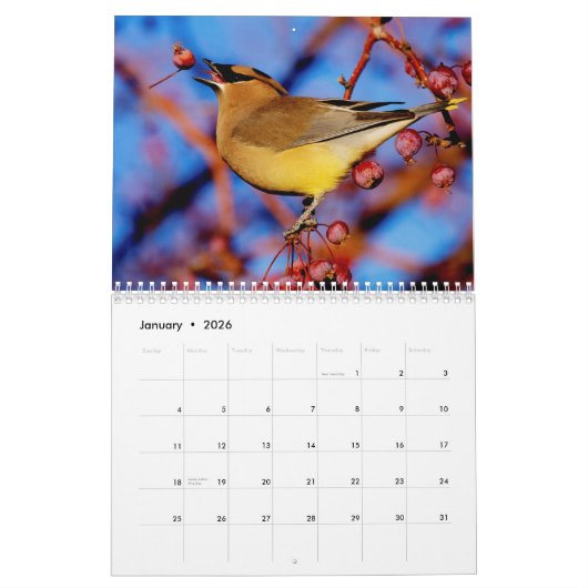 Vogel-und der Blüten-2015 Kalender (Jan 2026)