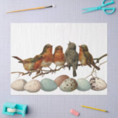 Vögel und Eier Vintag Europäische Robin Decoupage Seidenpapier (Basteln)