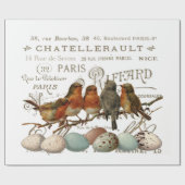 Vögel und Eier Vintage französische Stadtbezeichnu Geschenkpapier (Flach)