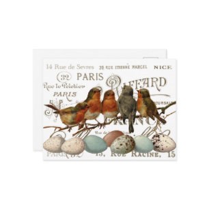 Vögel und Eier Vintage französische Stadtbezeichnu Postkarte
