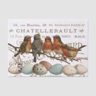 Vögel und Eier Vintage französische Stadtbezeichnu Seidenpapier