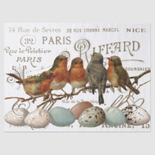 Vögel und Eier Vintage französische Stadtbezeichnu Seidenpapier