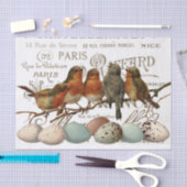 Vögel und Eier Vintage französische Stadtbezeichnu Seidenpapier (Handwerk)