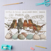 Vögel und Eier Vintage französische Stadtbezeichnu Seidenpapier (Basteln)