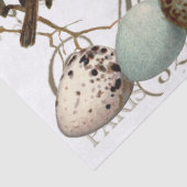 Vögel und Eier Vintage französische Stadtbezeichnu Seidenpapier (Detail)