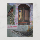 Vögel und Fische Collage Postkarte (Vorderseite)