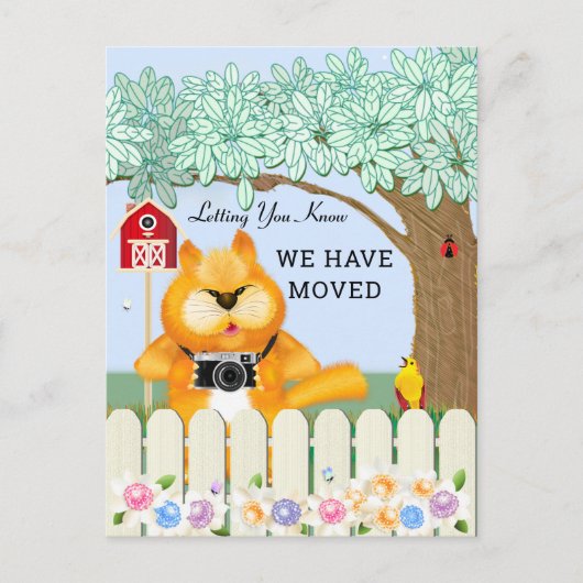 Vögel und Katzen im Garten | Änderung der Anschrif Postkarte (Vorderseite)