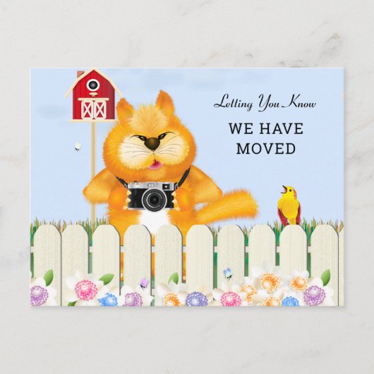 Vögel und Katzen im Garten | Änderung der Anschrif Postkarte (Vorderseite)