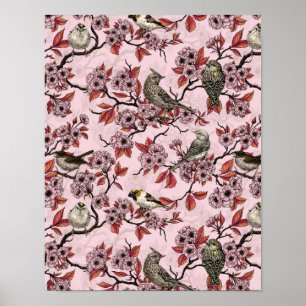 Vögel und Kirschblüten auf rosafarbenem Hintergrun Poster