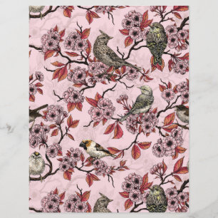 Vögel und Kirschblüten auf rosarot