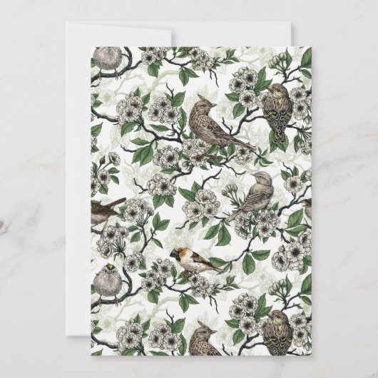 Vögel und Kirschblüten auf Weiß (Vorderseite)
