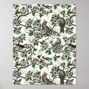 Vögel und Kirschblüten auf Weiß Poster