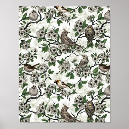 Vögel und Kirschblüten auf Weiß Poster (Vorne)