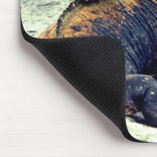 Vogel und Marine Iguana Mousepad (Ecke)