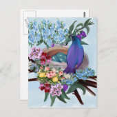 Vogel und Nest Postkarte (Vorne/Hinten)