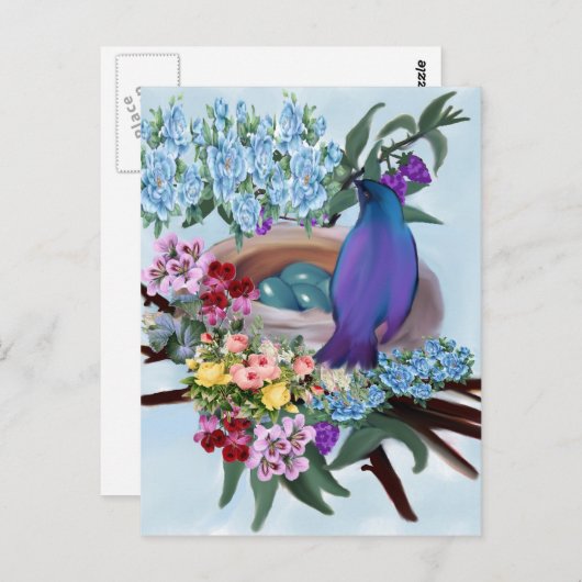 Vogel und Nest Postkarte (Vorne/Hinten)