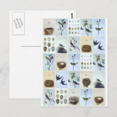 Vögel und Nester Postkarte (Vorne/Hinten)