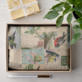 Vögel und Postkarten Sammelpapier Ephemere Tissue Seidenpapier (Geschenk)