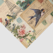 Vögel und Postkarten Sammelpapier Ephemere Tissue Seidenpapier (Ausschnitt)