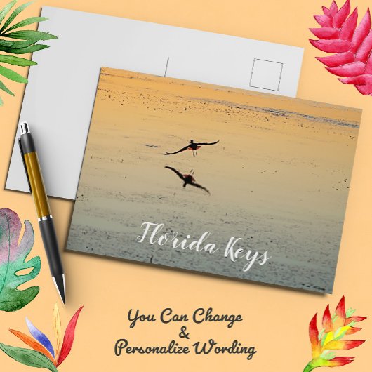 Vogel und Reflektion Flying Sunset Key West Florid Postkarte