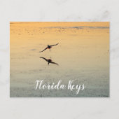 Vogel und Reflektion Flying Sunset Key West Florid Postkarte (Vorderseite)