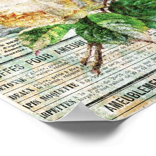 Vögel und Rose Poster (Ecke)