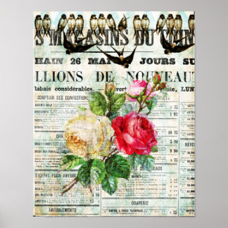 Vögel und Rosen Poster