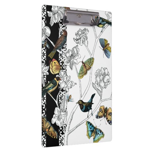 Vögel und Schmetterling auf einem schwarzen u. Klemmbrett (Rechts)