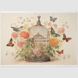 Vögel und Schmetterlinge: Entkopplung des Geburtsk Seidenpapier