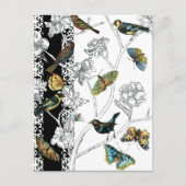 Vögel und Schmetterlinge im schwarz-weißen Hinterg Postkarte (Vorderseite)