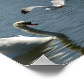 Vogel und Schwan spielen Poster (Ecke)