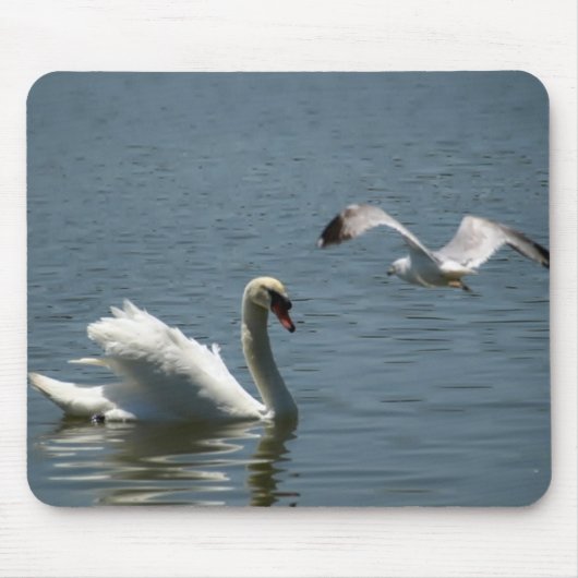 Vogel und Schwan über dem Morton-See Mousepad (Vorne)