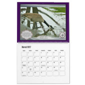 Vögel und Wasser (großformatig) Kalender (Mär 2027)