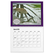 Vögel und Wasser (großformatig) Kalender (Mär 2026)