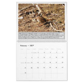 Vögel Utahs 2027 Kalender (Feb 2027)