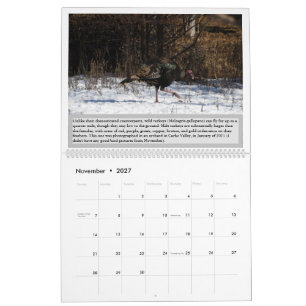 Vögel Utahs 2027 Kalender