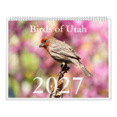 Vögel Utahs 2027 Kalender (Titelbild)
