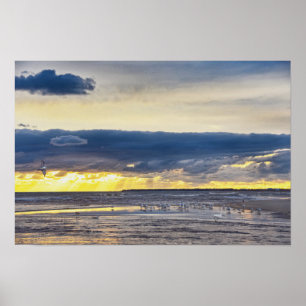 Vögel versammeln sich bei Sonnenaufgang an einem S Poster