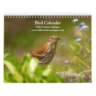 Vögel vieler Federn 2026 Kalender