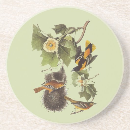 Vogel-Vintager Kunst-Untersetzer Oriole Audubon Getränkeuntersetzer (Vorne)