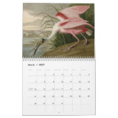 Vögel von Amerika Kalender (Mär 2027)