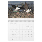 Vögel von Äthiopien-Kalender Kalender (Jan 2027)
